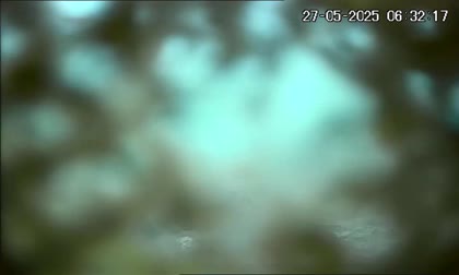 2025-05-27
