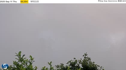 2025-09-11