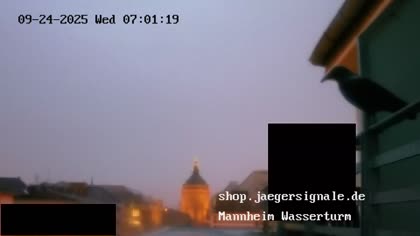 2025-09-24