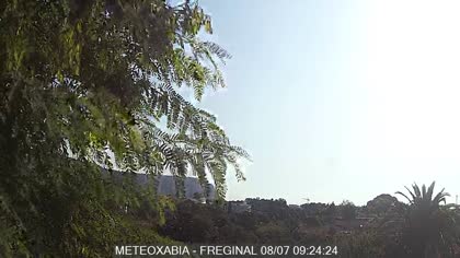 2025-08-07