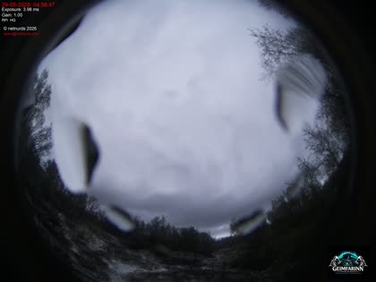 2026-05-29