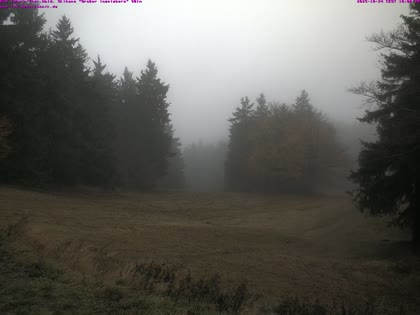 2025-10-24