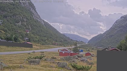 2025-08-10