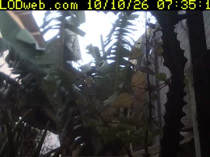 2026-10-10