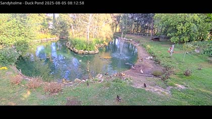2025-08-05