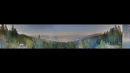2026-08-12