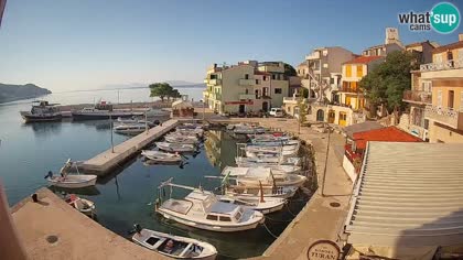 2026-08-11