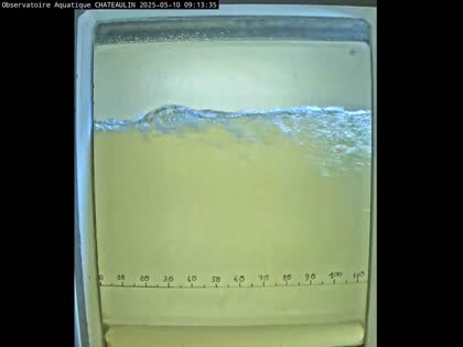 2025-05-10