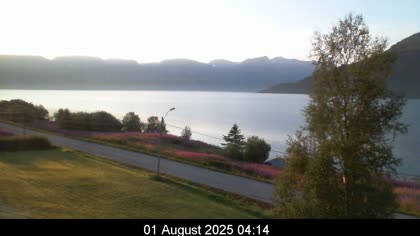 2025-08-01