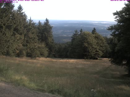 2026-08-03