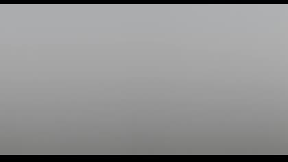 2025-07-30