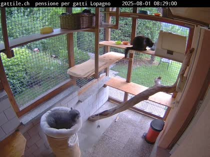 2025-08-01