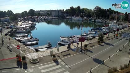 2026-08-18