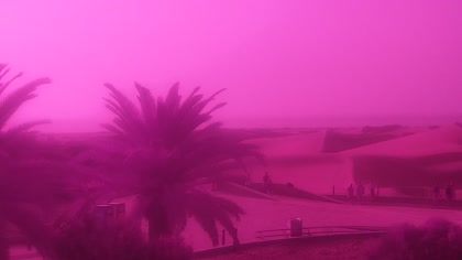2026-09-07