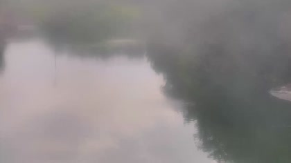 2025-08-29