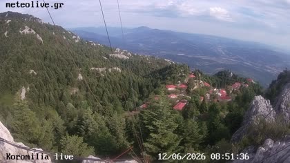 2026-06-12