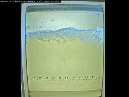 2025-05-06