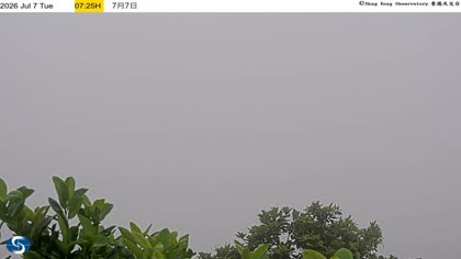 2026-07-07