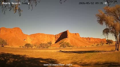 2026-05-12