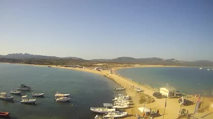 2026-08-14