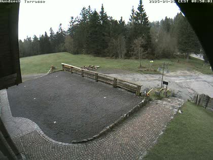 2025-04-26