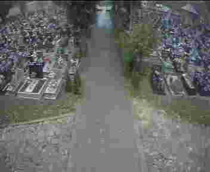 2025-10-11