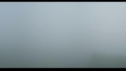 2025-08-02