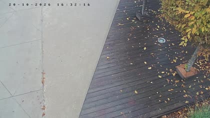 2026-10-20