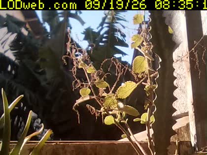2026-09-19