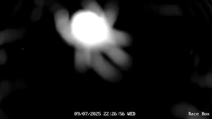 2025-07-10