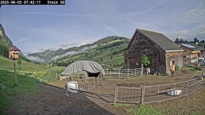 2025-06-03