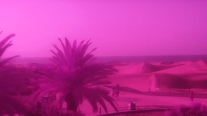2026-07-29