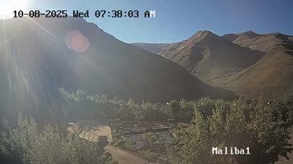 2025-10-08
