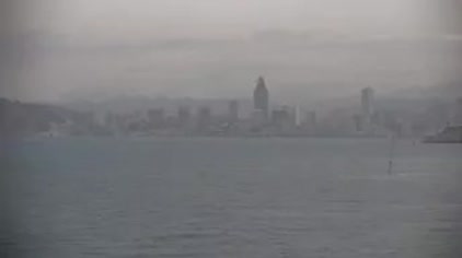 2025-04-12
