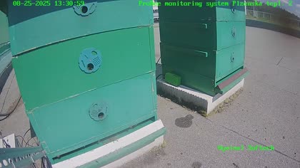 2025-08-26