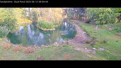 2025-08-12