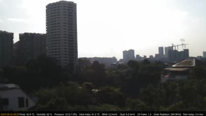 2025-08-02