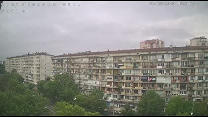 2025-08-05