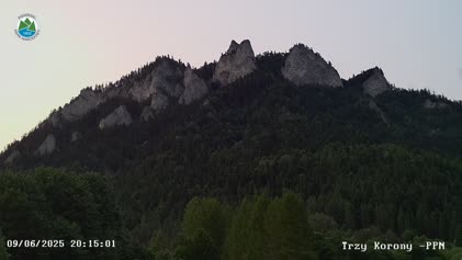 2025-06-09