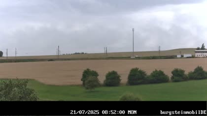 2025-07-21