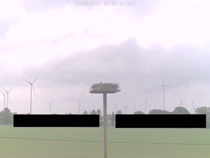 2025-05-18