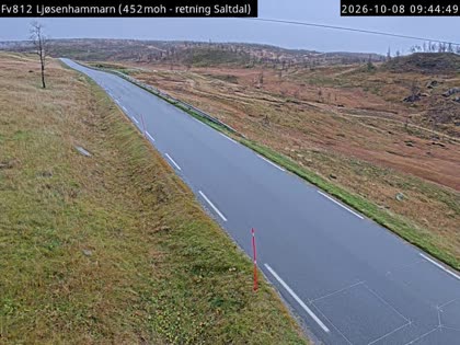 2026-10-08