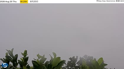 2026-08-20