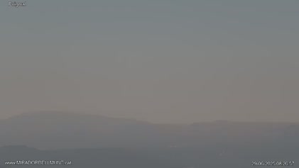 2025-06-29