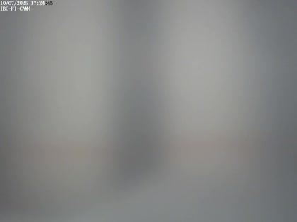 2025-07-12