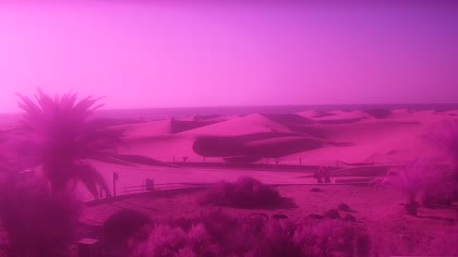 2026-10-03