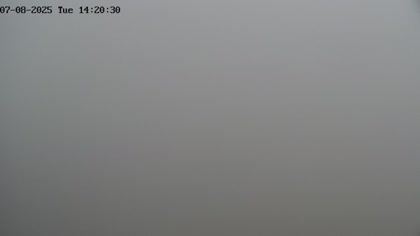 2025-07-08