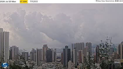 2026-07-20