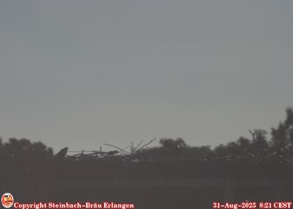 2025-08-31