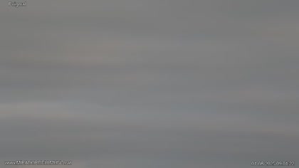 2025-08-01